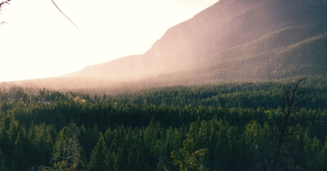 Golfer’s Elbow Explained: Causes, Treatment, and Prevention Tips from a Sports Chiropractor in Plano, TX image